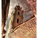 DJK_1192