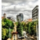 DJK_8796